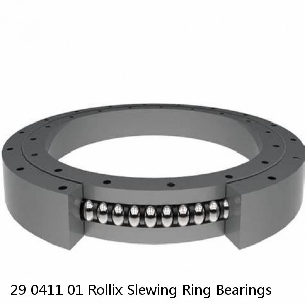 29 0411 01 Rollix Slewing Ring Bearings