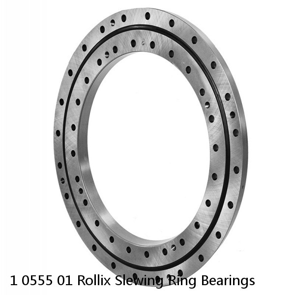 1 0555 01 Rollix Slewing Ring Bearings