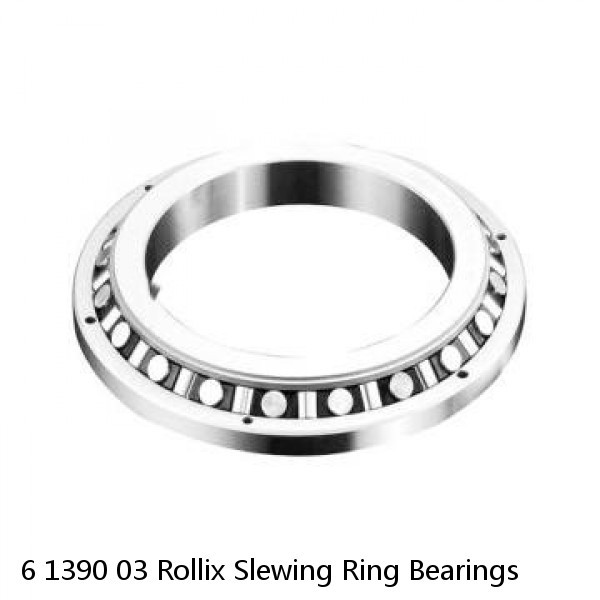 6 1390 03 Rollix Slewing Ring Bearings