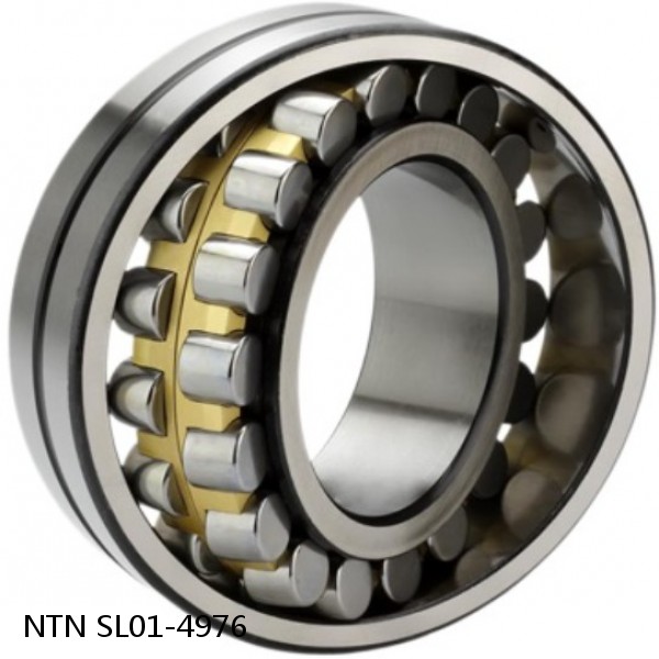 SL01-4976 NTN Cylindrical Roller Bearing #1 small image