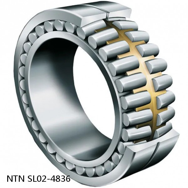 SL02-4836 NTN Cylindrical Roller Bearing #1 small image