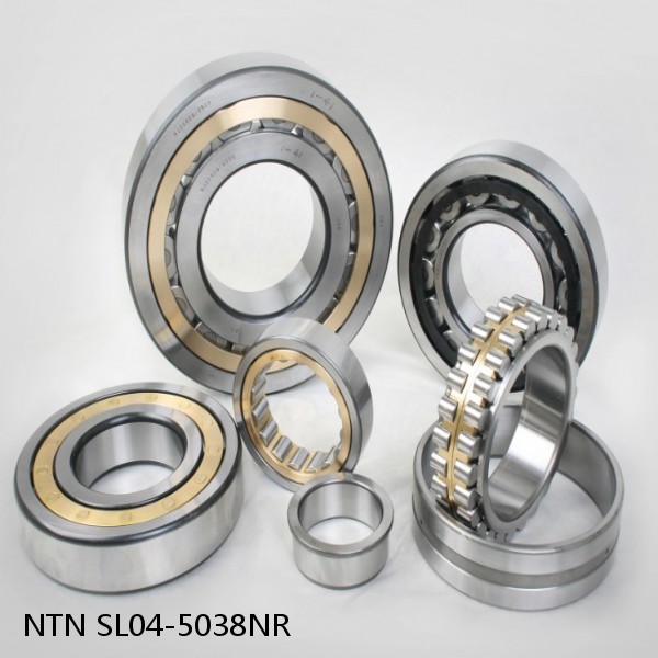 SL04-5038NR NTN Cylindrical Roller Bearing #1 small image