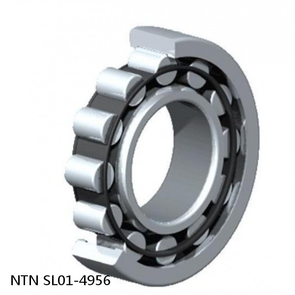 SL01-4956 NTN Cylindrical Roller Bearing #1 small image