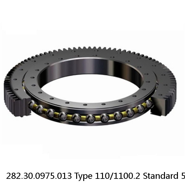 282.30.0975.013 Type 110/1100.2 Standard 5 Slewing Ring Bearings #1 small image