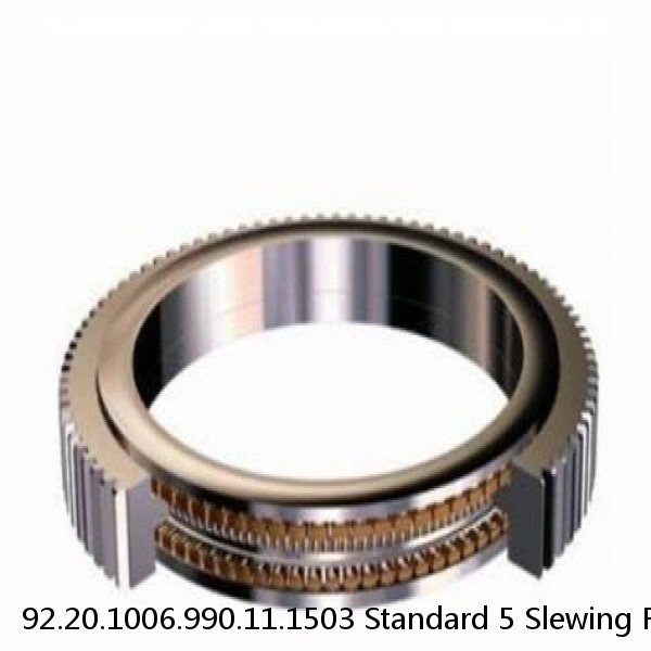 92.20.1006.990.11.1503 Standard 5 Slewing Ring Bearings #1 small image