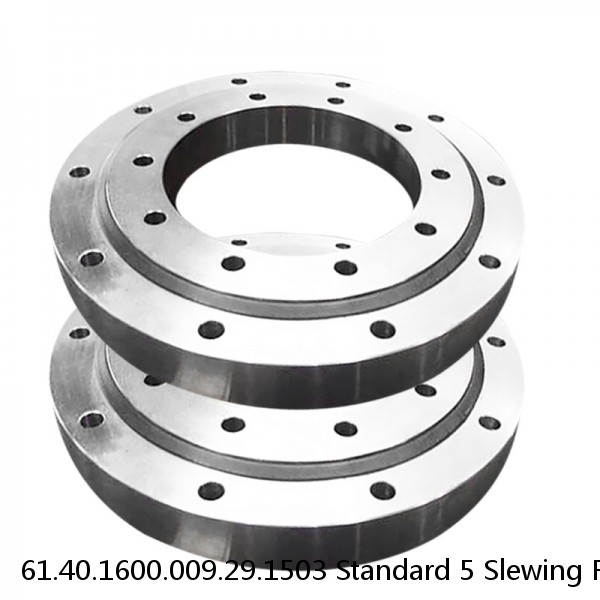 61.40.1600.009.29.1503 Standard 5 Slewing Ring Bearings #1 image