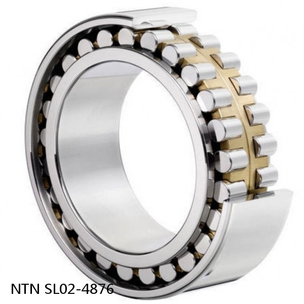 SL02-4876 NTN Cylindrical Roller Bearing #1 image