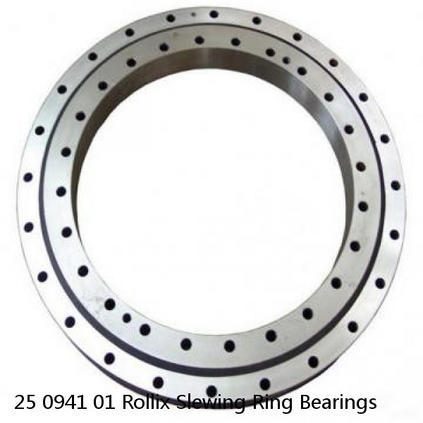 25 0941 01 Rollix Slewing Ring Bearings #1 image