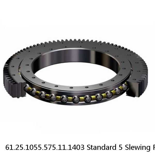 61.25.1055.575.11.1403 Standard 5 Slewing Ring Bearings #1 image