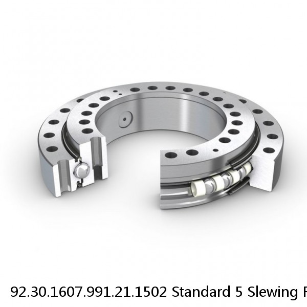 92.30.1607.991.21.1502 Standard 5 Slewing Ring Bearings #1 image