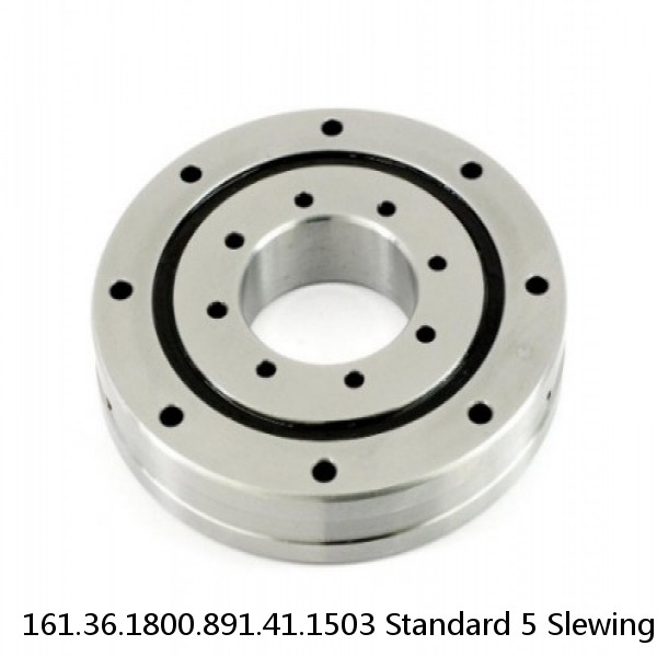 161.36.1800.891.41.1503 Standard 5 Slewing Ring Bearings #1 image