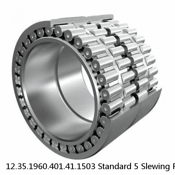 12.35.1960.401.41.1503 Standard 5 Slewing Ring Bearings #1 image