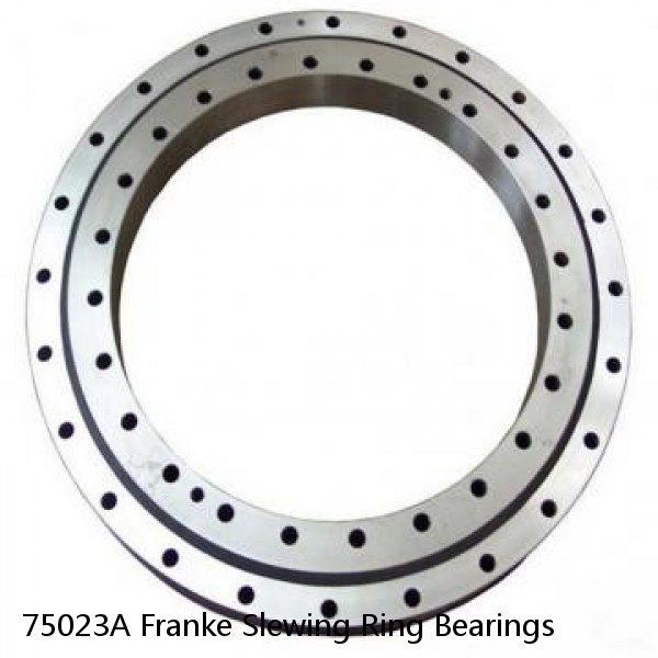 75023A Franke Slewing Ring Bearings #1 image