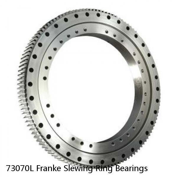 73070L Franke Slewing Ring Bearings #1 image