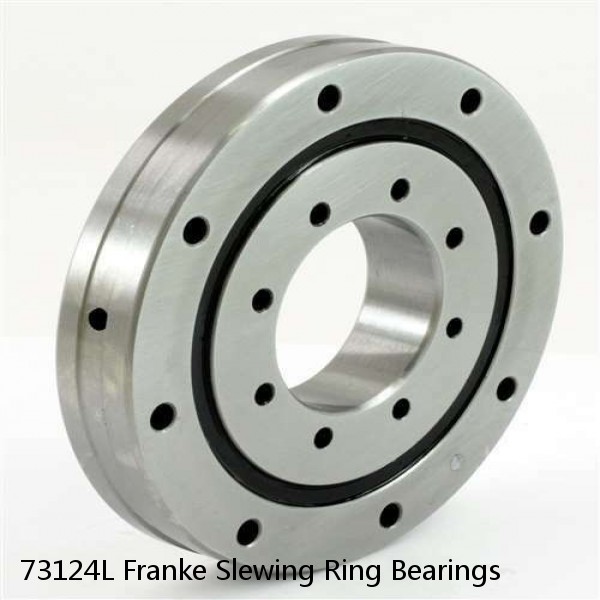 73124L Franke Slewing Ring Bearings #1 image