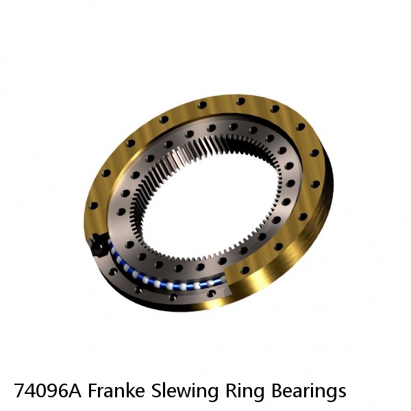 74096A Franke Slewing Ring Bearings #1 image