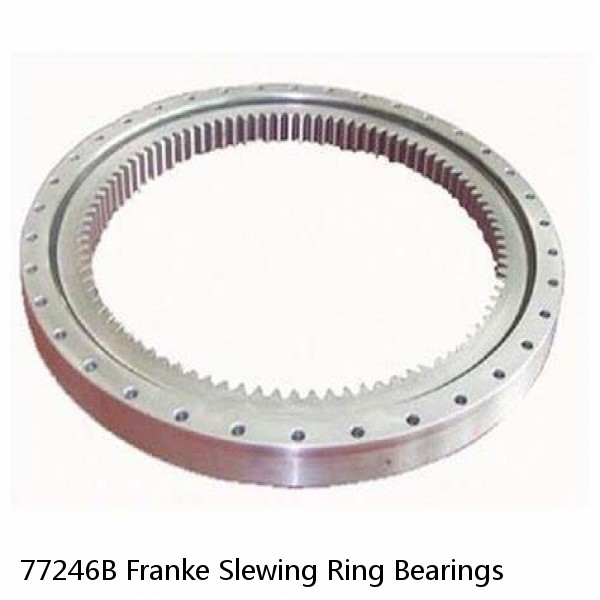 77246B Franke Slewing Ring Bearings #1 image