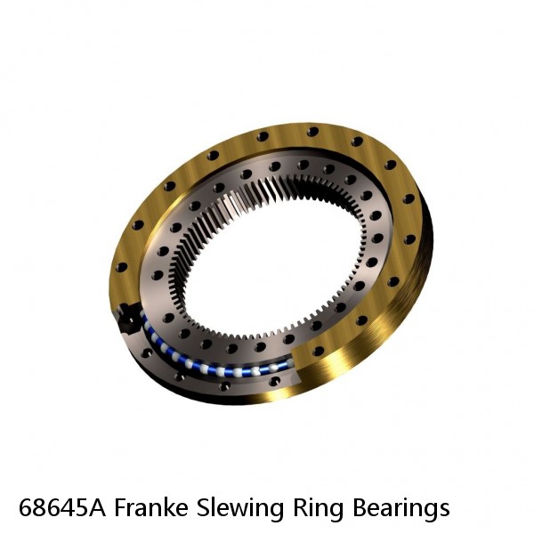 68645A Franke Slewing Ring Bearings #1 image