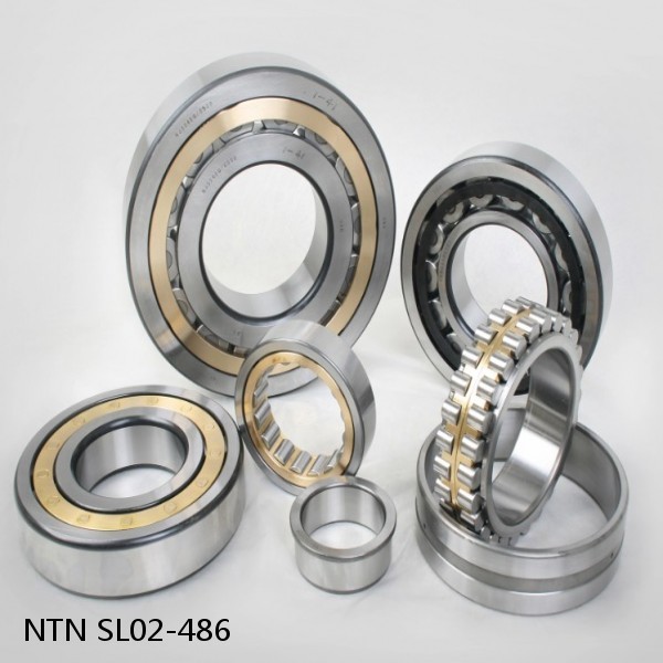 SL02-486 NTN Cylindrical Roller Bearing #1 image
